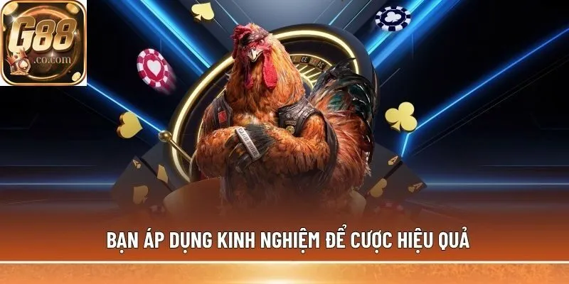Bạn áp dụng kinh nghiệm để cược hiệu quả