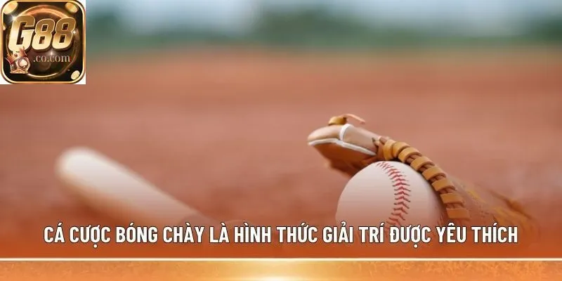 Cá cược bóng chày là hình thức giải trí được yêu thích