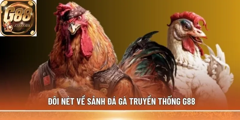 Đôi nét về sảnh đá gà truyền thống G88