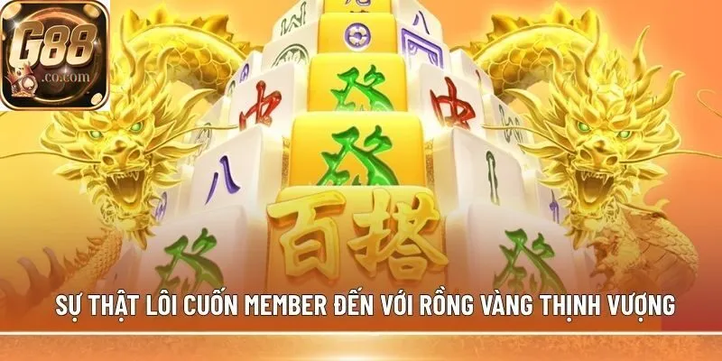 Sự thật lôi cuốn member đến với Rồng Vàng Thịnh Vượng